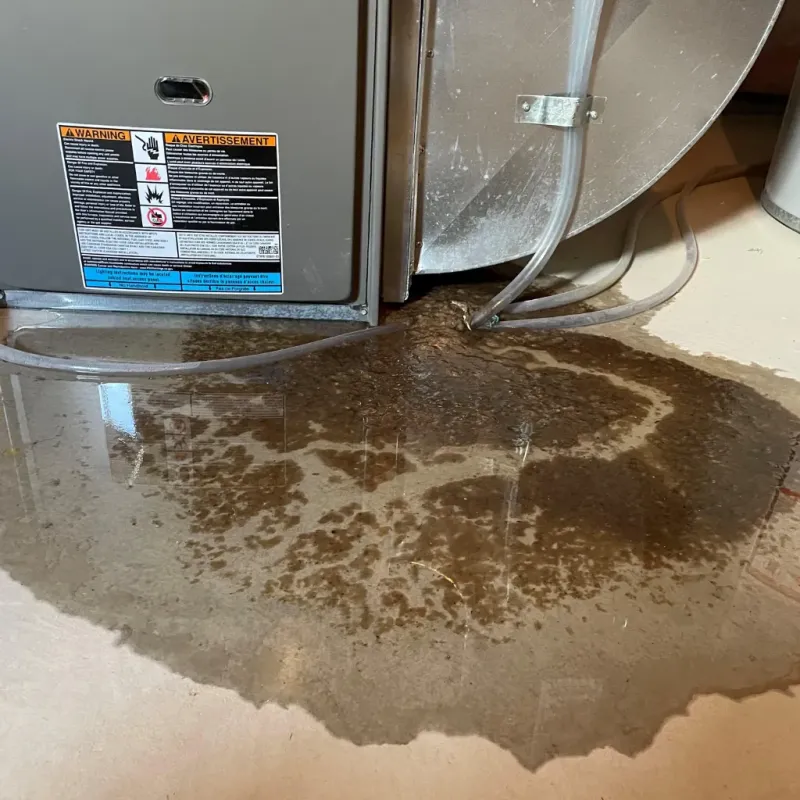 Appliance Leak Cleanup in Bond County, IL