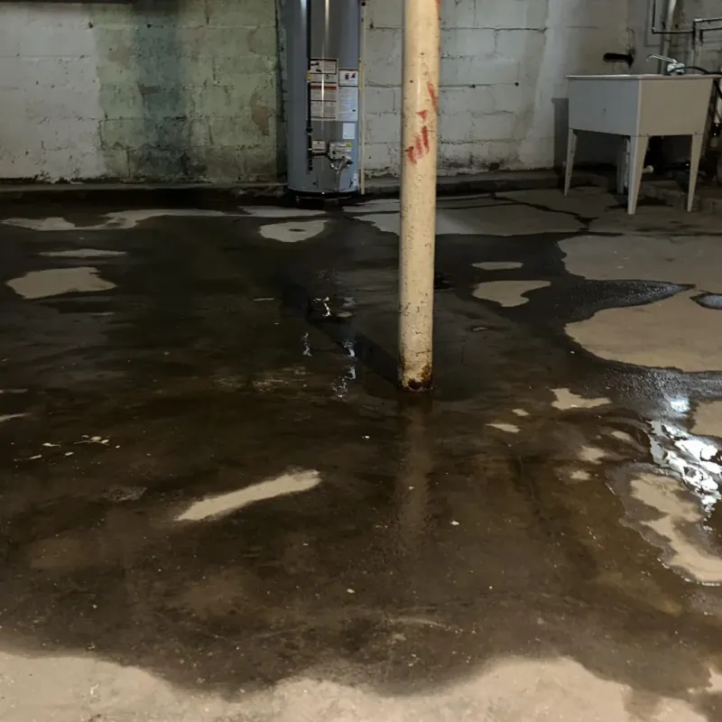 Emergency Water Extraction And Removal in Bond County, IL